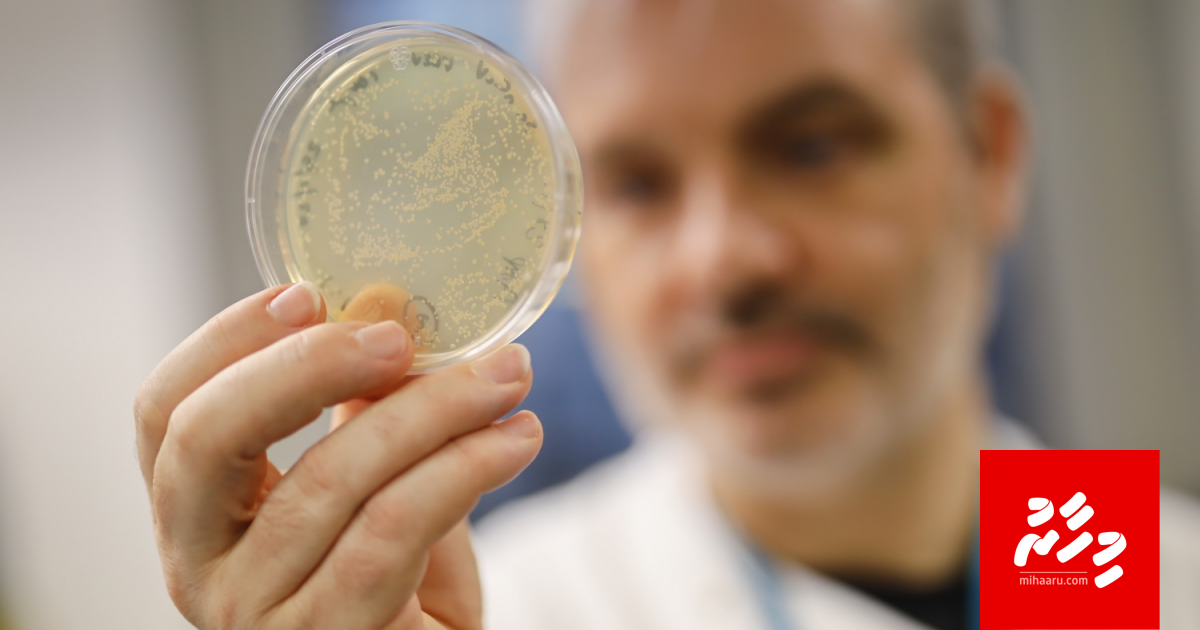 Novel Coronavirus ah enme fahun nameh dheefi