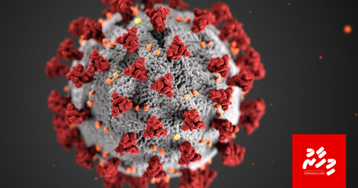 Miee coronavirus, Mi foto dhushintha?