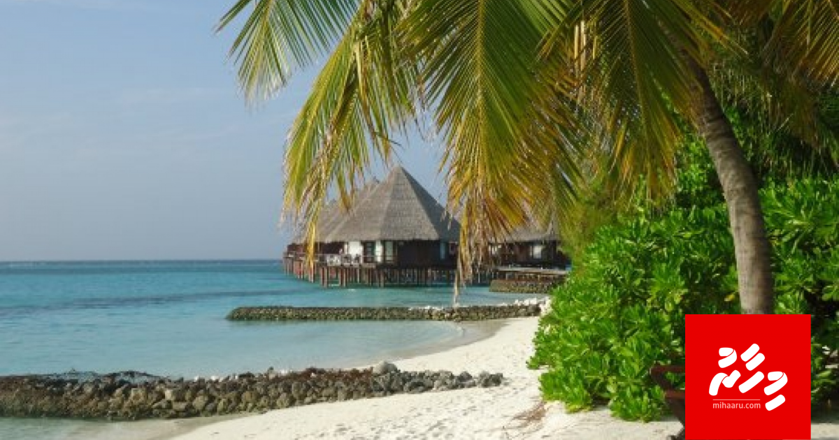 Velidhoo gai huri doctor sifainge commander ge kotari ah dhiya massala balanee