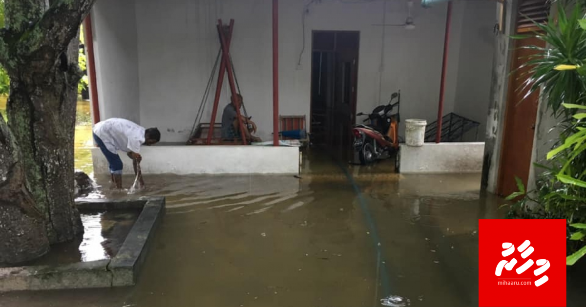 Addu ge vissaaraigai gellunvi ge thakuge adhadhu 161 ah
