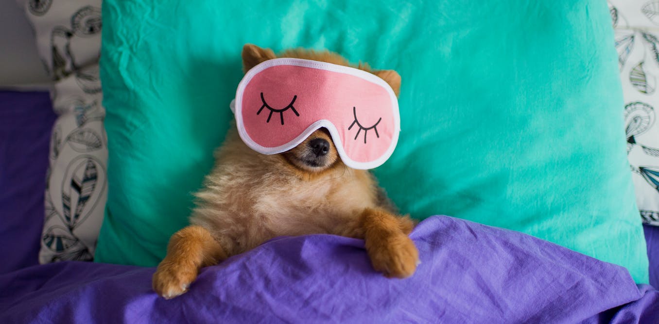 Seven tips to get your sleep cycle back on track during lockdown