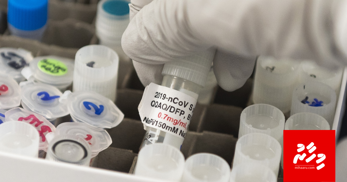 Ummeedhuge hulhukolheh: Vaccine thahuleelu ge natheejaa rangalhu