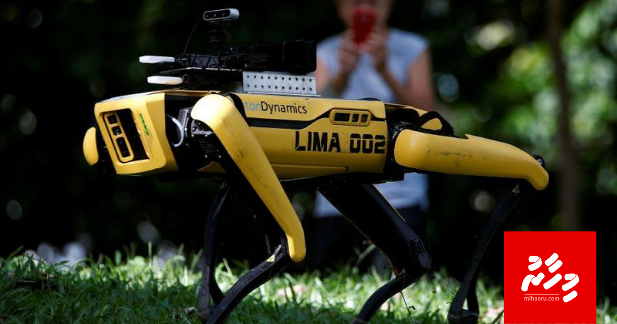 Singapore ge parkeggai robot kuhththaa testkuran fashaifi