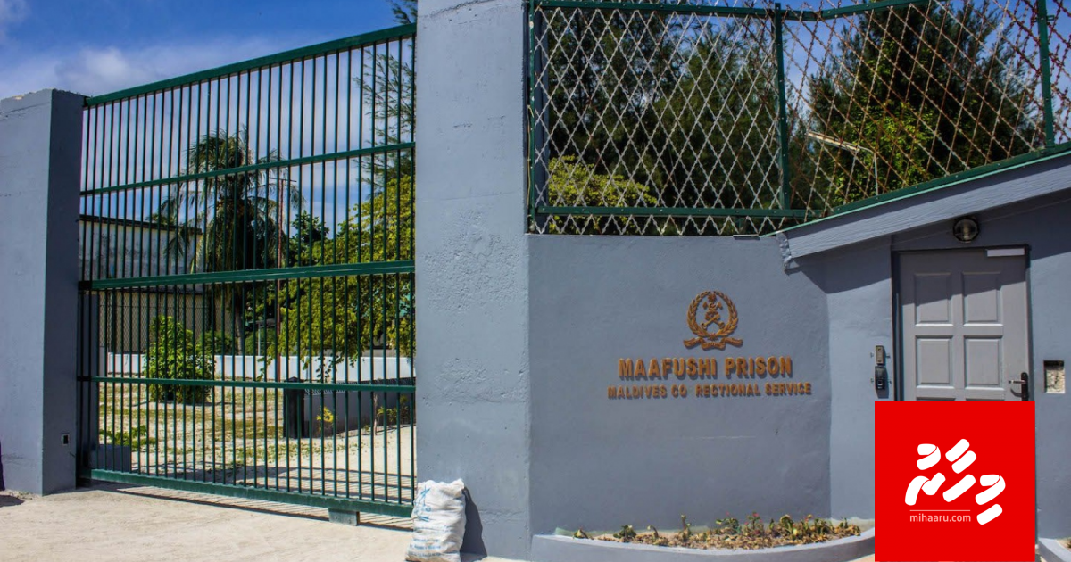 30 meehaku sharuthuthakaaeku dhookohlan PG in court gai edhijje