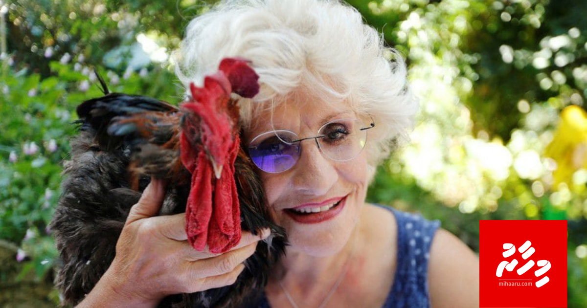 Govumuge haggu haalah onnaane kamah kanda alhaifi