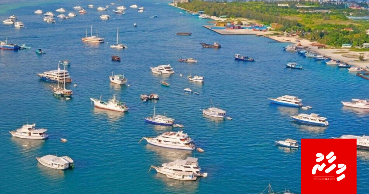 Jinsee goanaage massala hoonuve, aamun rulhigadha vejje!