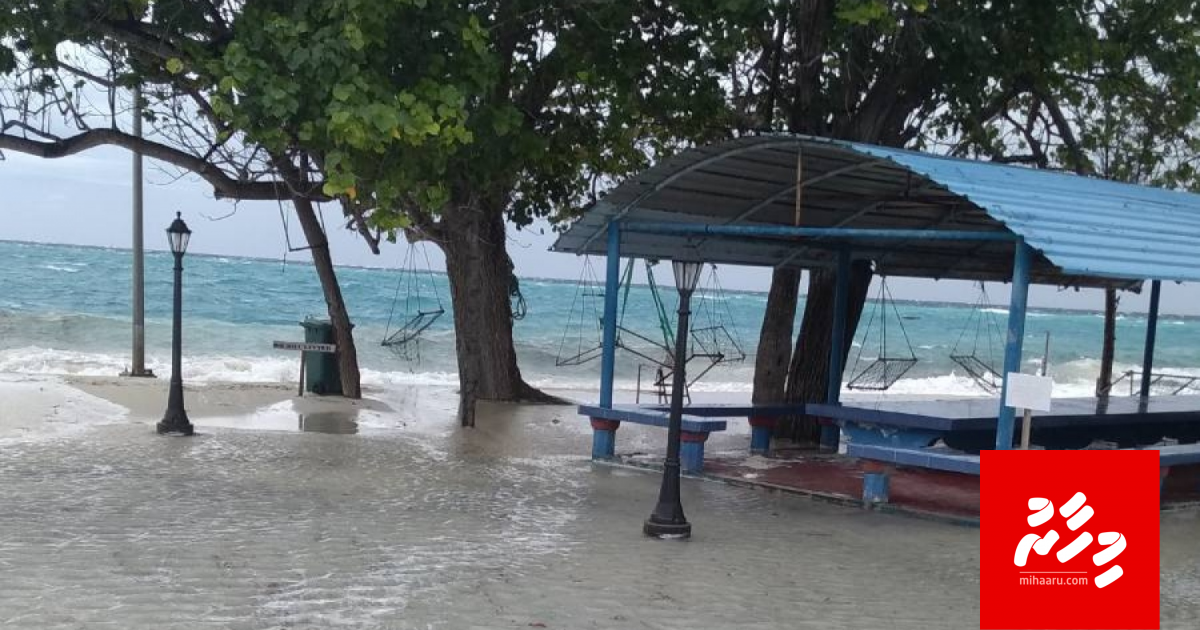 Baeh rahrah lonuganduge adiyah! Adhives udha araane!