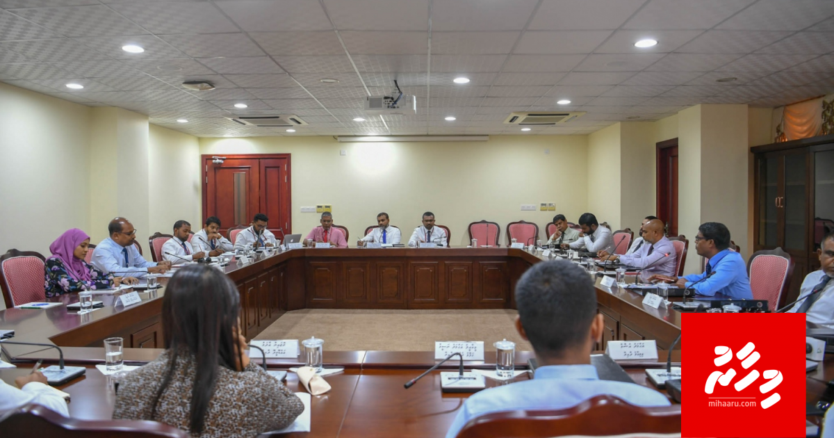 Jinsee goanaage massala report kuri gothaa gulhigen Majilihun media thakaa dhekolhah