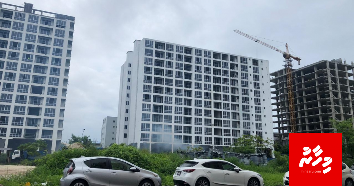 Island Expert ge muvazzafunnah musaara dheyn fashaifi