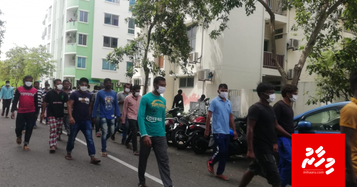 Muvazzafunnah musaara dheyn Island Expert in mudhaathah vikkaalanee