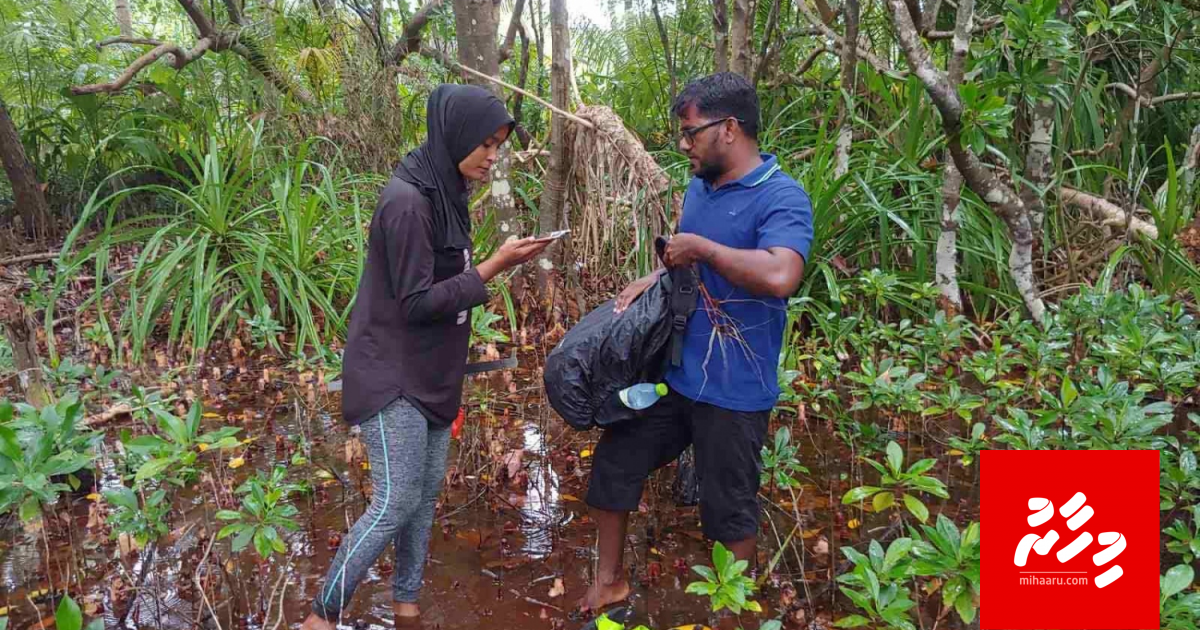 Rajjey ge kandoofaa thakah mivanee kihineh?