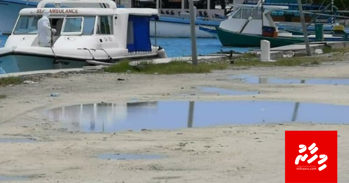 Villingilli ah neyruvi Covid-19 ge bali meehaa Male genesfi