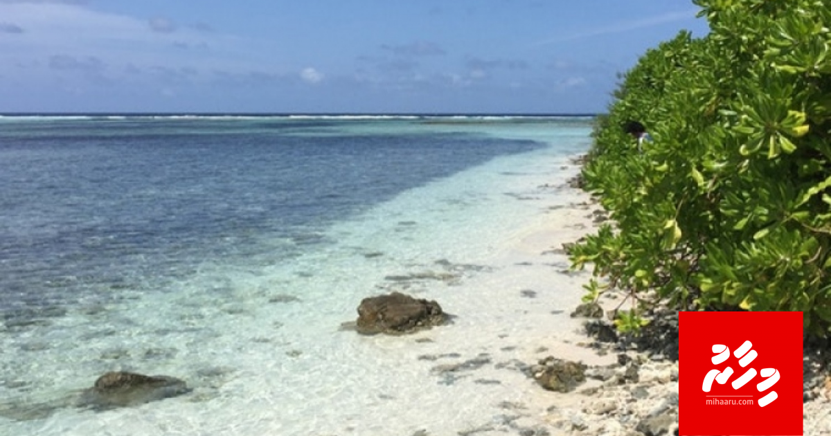 Hoandedhoon positive meehegge haalu dherave Vilingiyyah