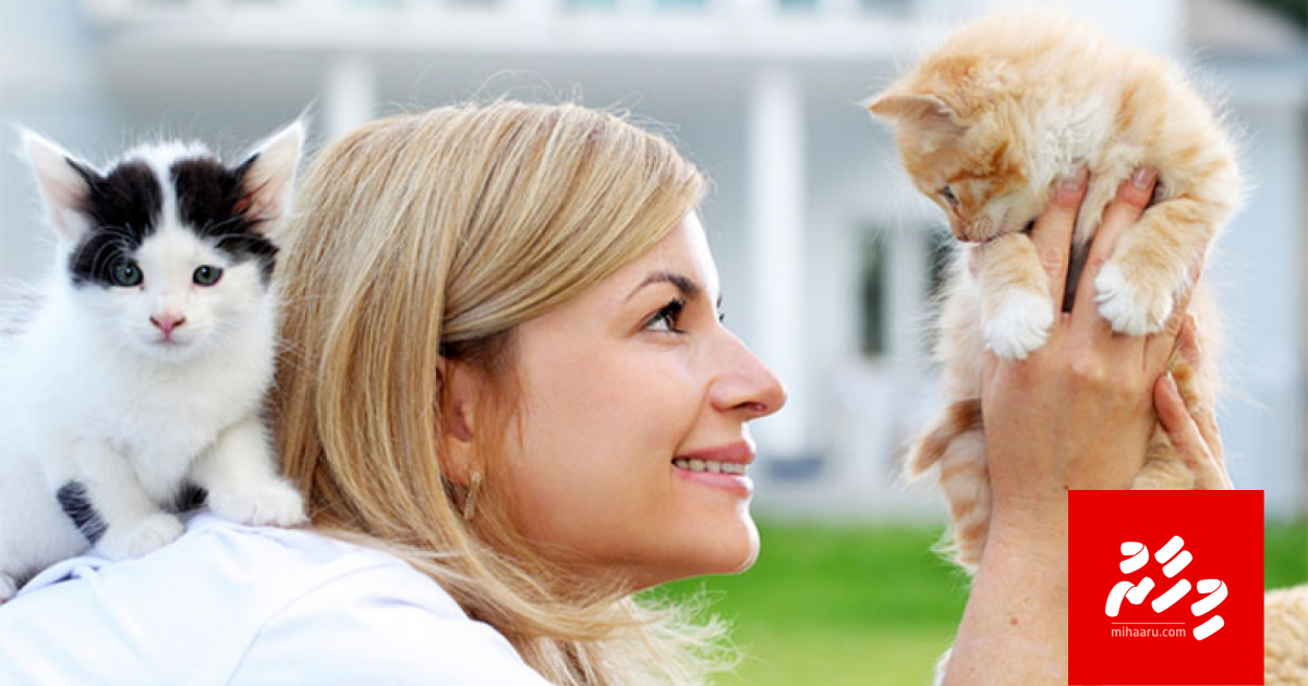 Pet gengulhumun dhulhaheyokan ithuruvey