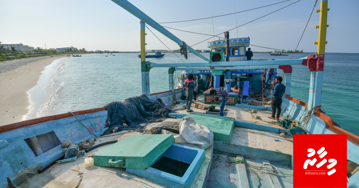 Drug boat, olhuvaalaigen beynunkuri massala balanee