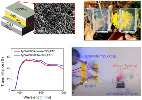 Transparent photovoltaic cells and self-powered photodetectors by TiO2/NiO heterojunction