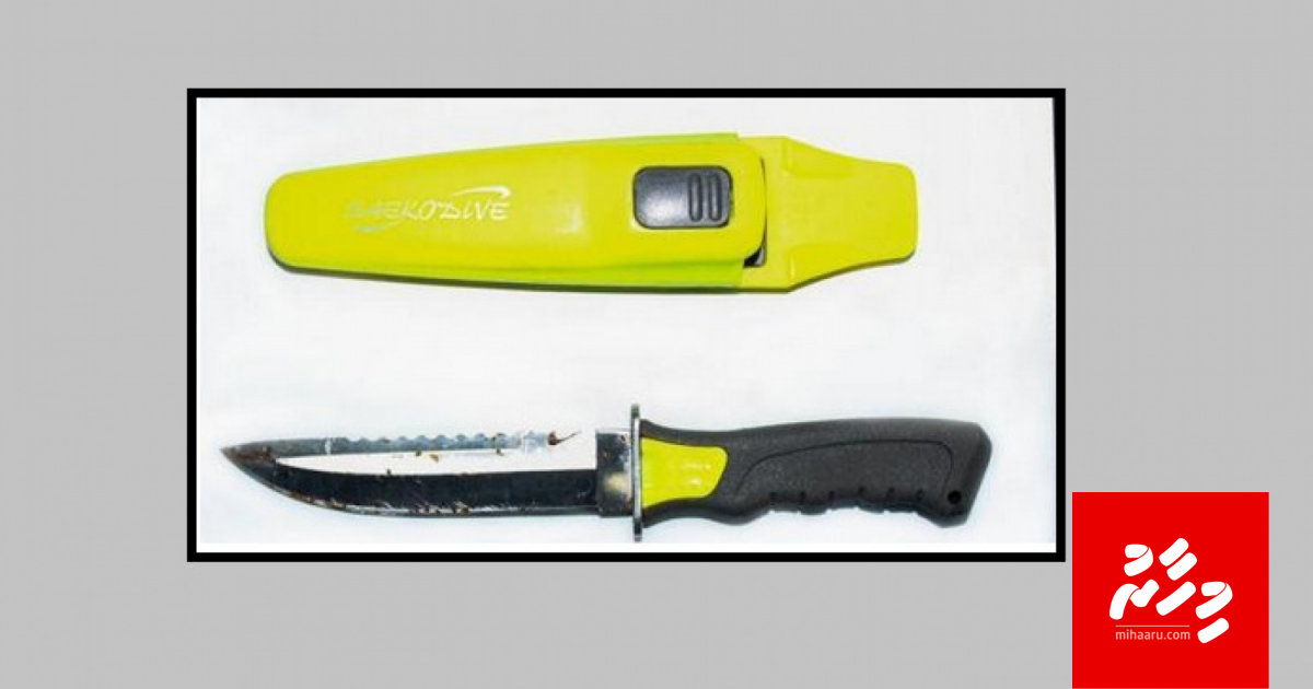 Rilwan massalaigai valheege thahuleel thakun muhimmu heki libijje: Commission