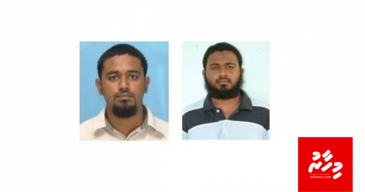 Terrorist eh kamah bunaa Ameen gey bandhah badhalu koffi