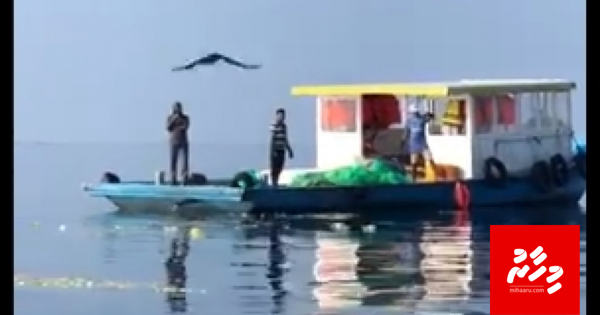 Moodhah kuni ukaalun ehaame faseyha!