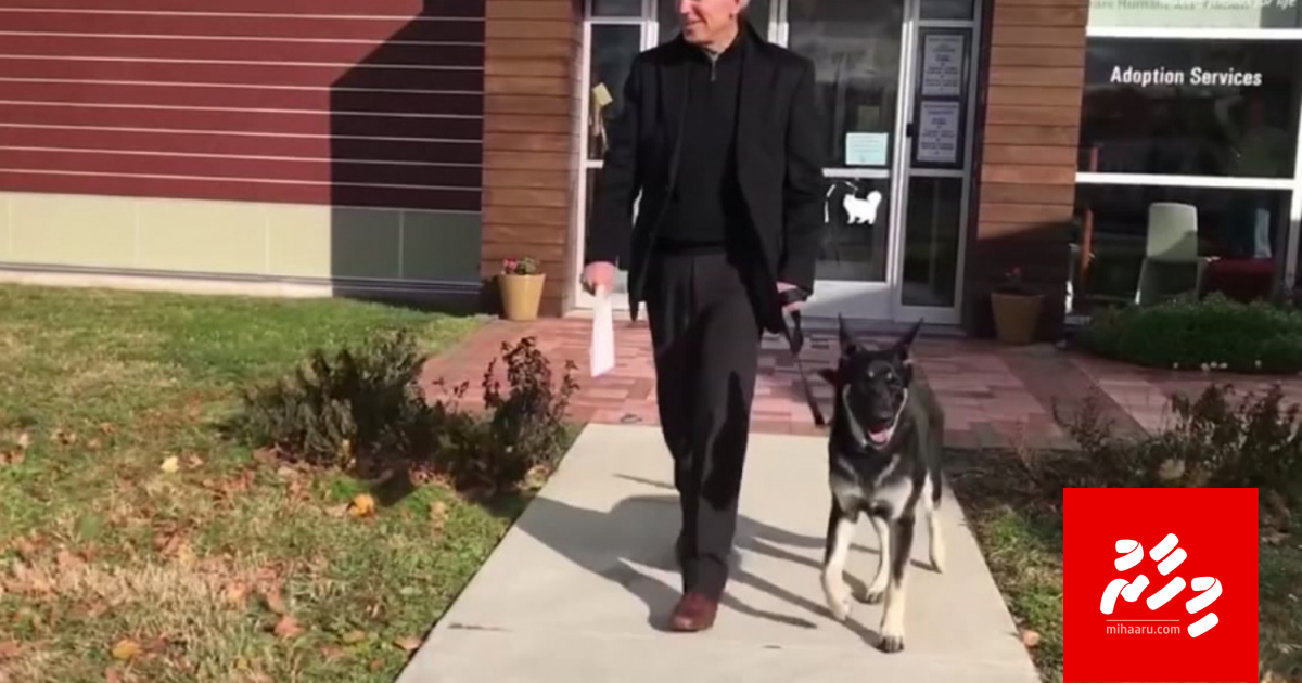 Kuhththaa aa eku kulhuvvanikoh Joe Biden ge fahaya aniyaa vejje