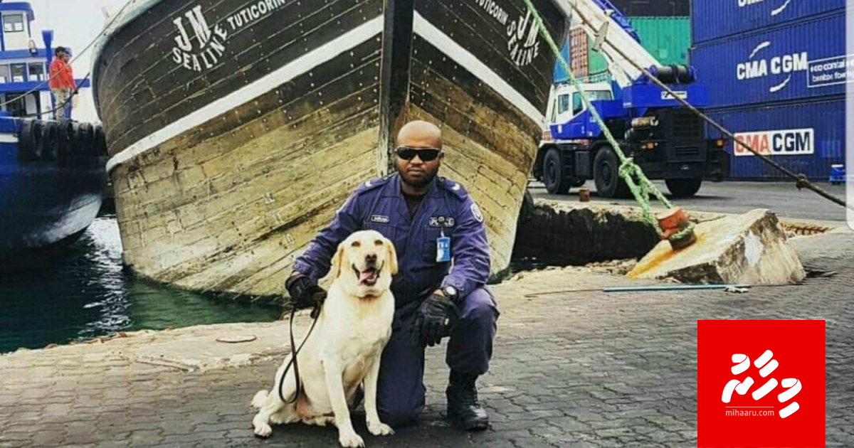 Aammunge loa fuluhunge Shakeera ah!