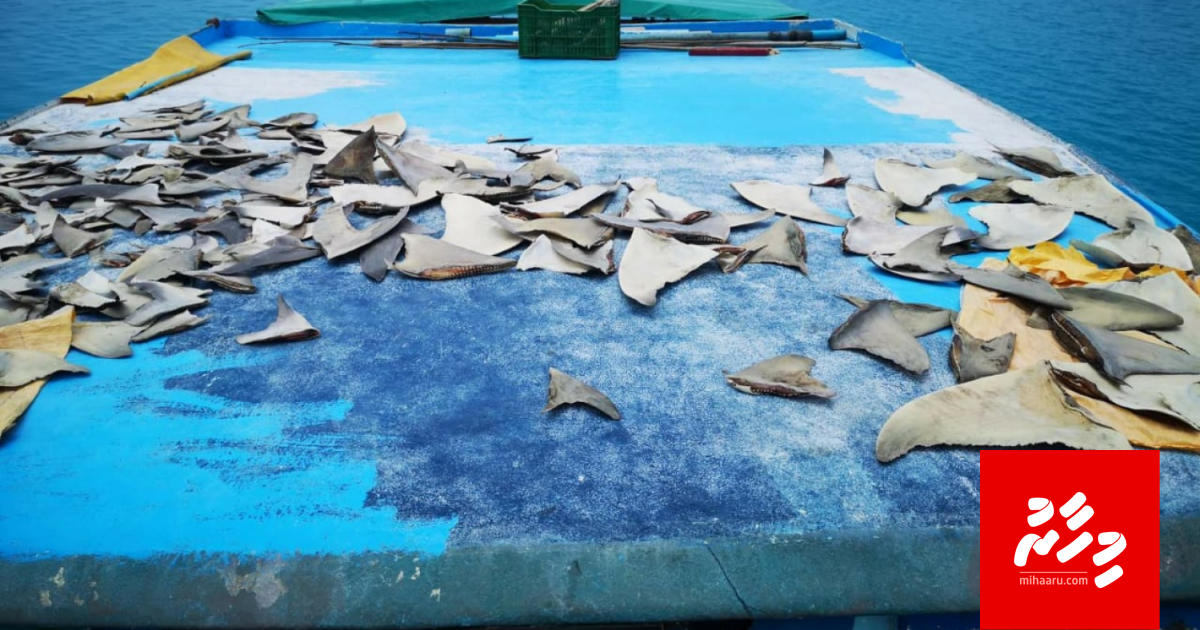 Miyaruge masverikan kuran thibi bayaku athulaigenfi