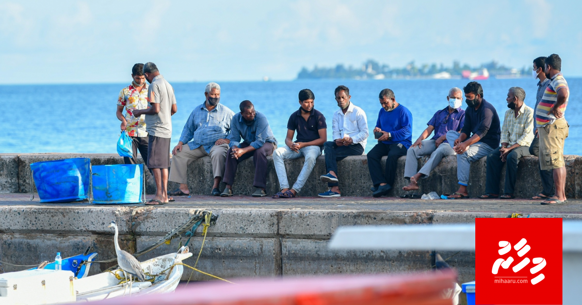Doctorun gadha rulheegai: Enme goas vi iru mi thibee hurihaa kameh dhookollaigen