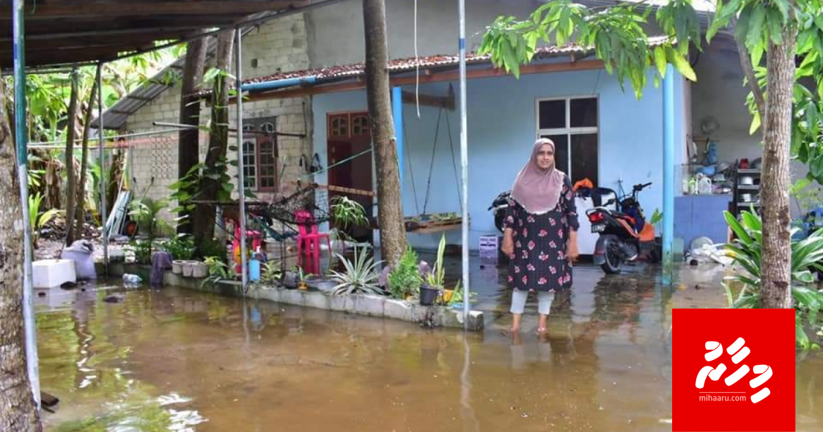 Fuvahmulakuge maguthakaai geygein fen nuhihindhi 4 vana dhuvas