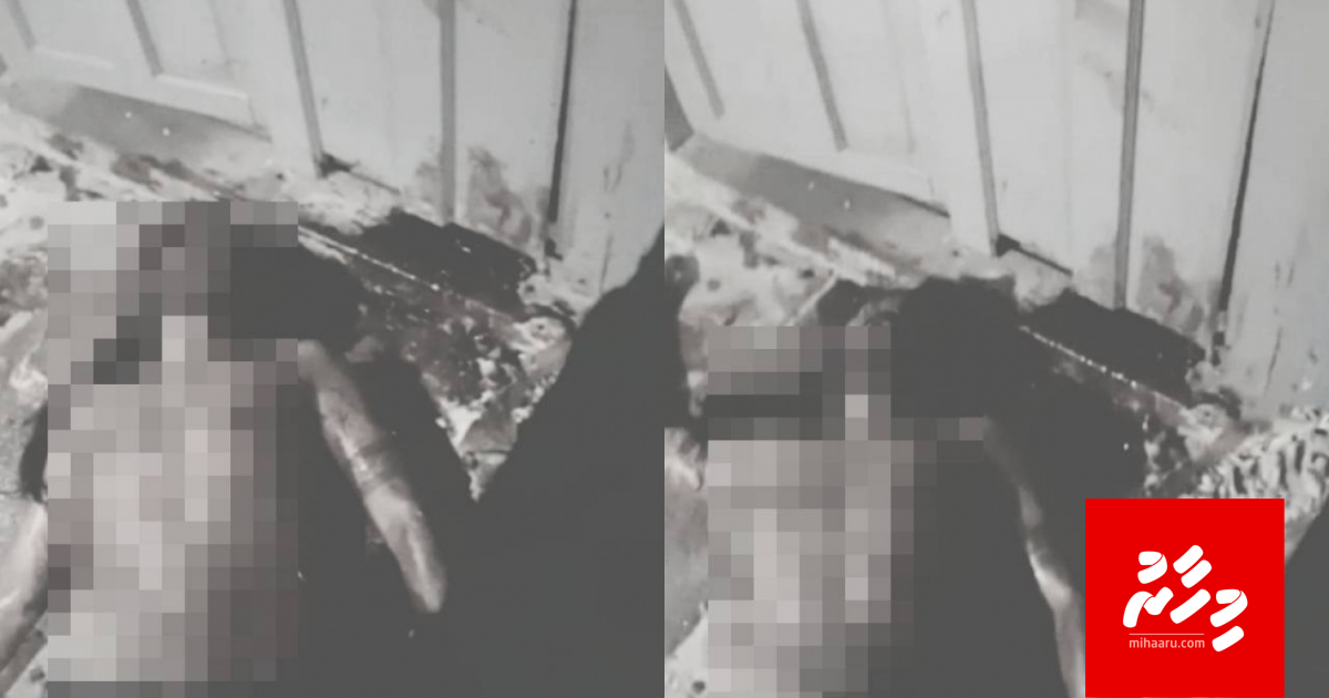 Vee gotheh neynge, fenunee ley thakegge thereygai oy meeheh!