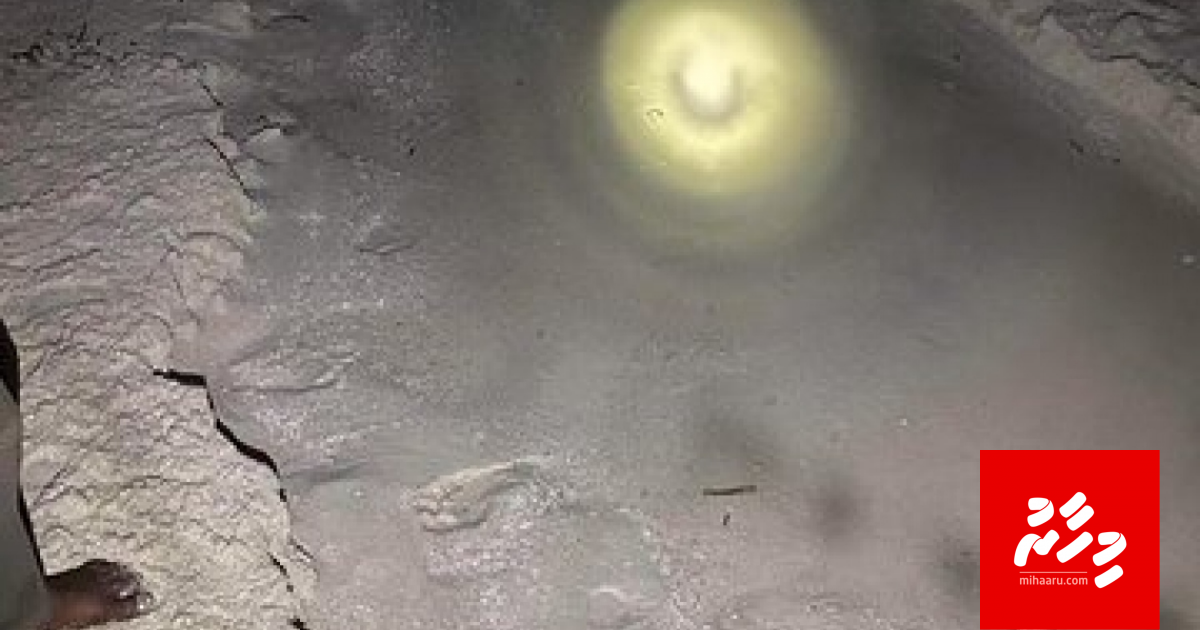 Finolheh natthaalan Gililankanfushi resort in massakaiy koffi