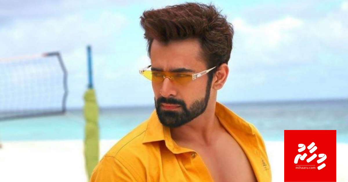 TV Actor Peal V Puri Raajjey gai