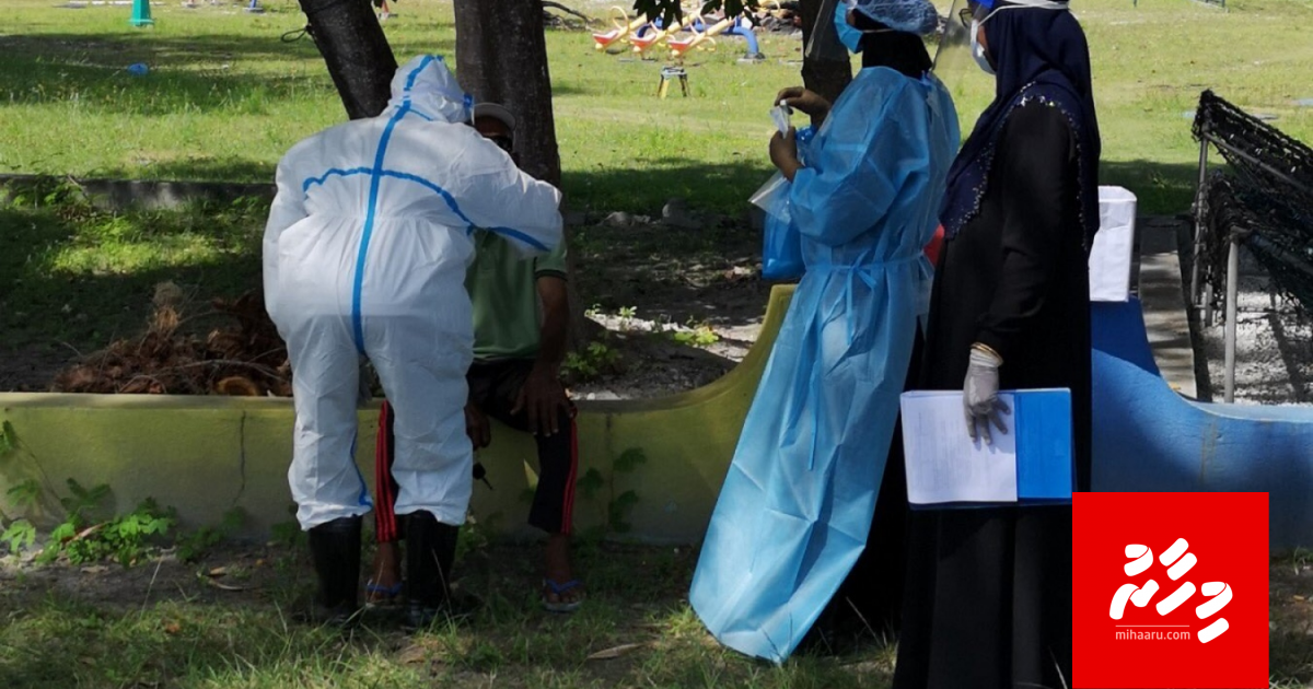 Addugai covidge case thakah dhavvumeh