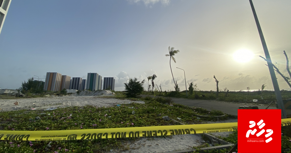 Kujjaa raheenukoh maraalumaa gulhifaivanee jinsee aniyaa falhaa erumaa