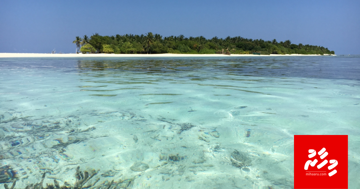 Omadhoo gai mas fengadakah vetti 11 mahuge kujjaku maruvejje