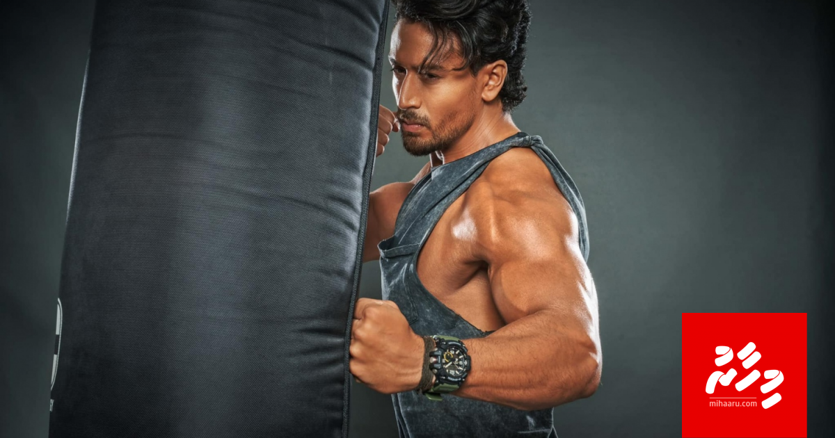 Ganapath varah varugadha filmakah vaane: Tiger