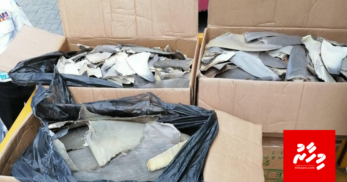 Customs aa hedhi miyaru urahaige massalaigai dhauvaa nukurevifai