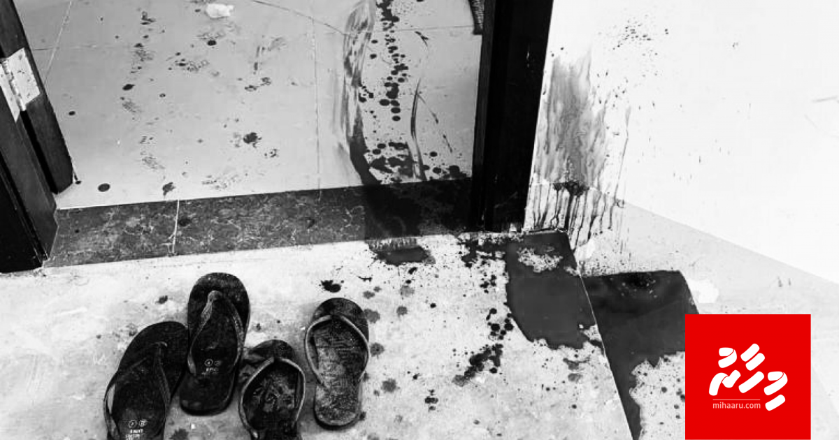 Hithadhoo gai hamalaadhin mahsalaigai 2 meehaku hayyaru koffi