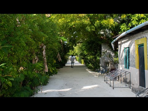 V. Thinadhoo: Touristun ge adhadhu aabaadhee fahana alhai hingajje