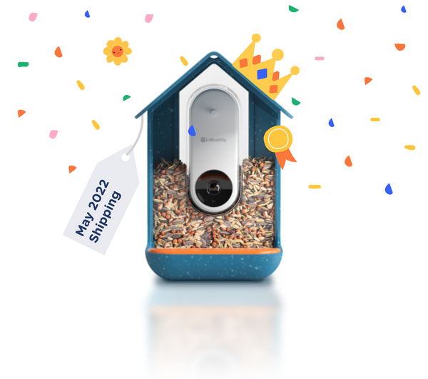 1x Bird Buddy Secret Offer