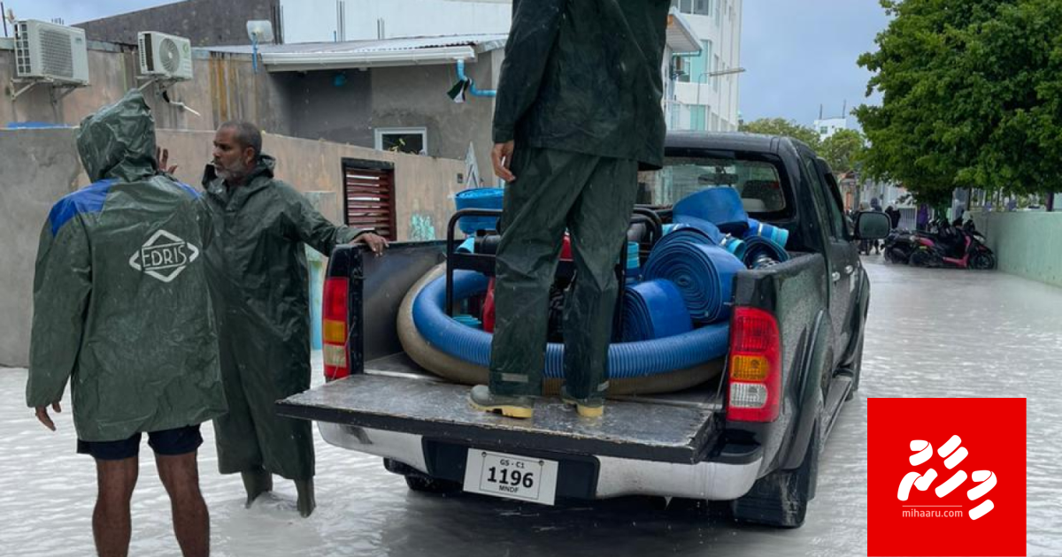Vissaaraigai 9 rashehgai fen bodu vejje
