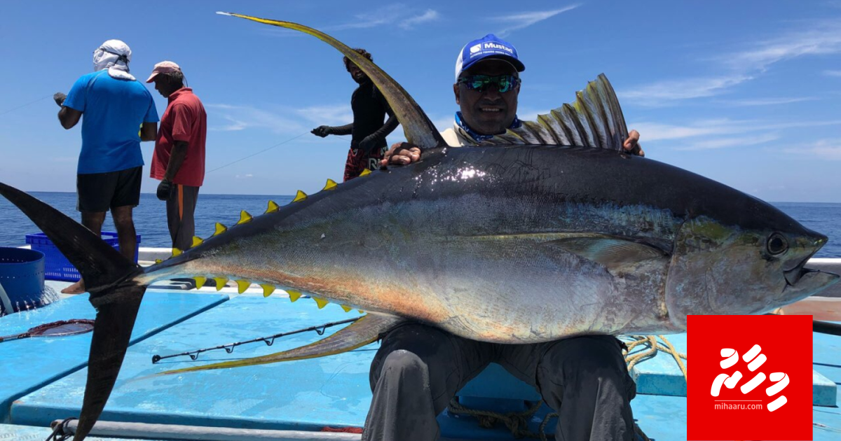 Kanneli emme ginain baanaa Uthuru gai leynu alhan hudhdha nudheyne: Ministry