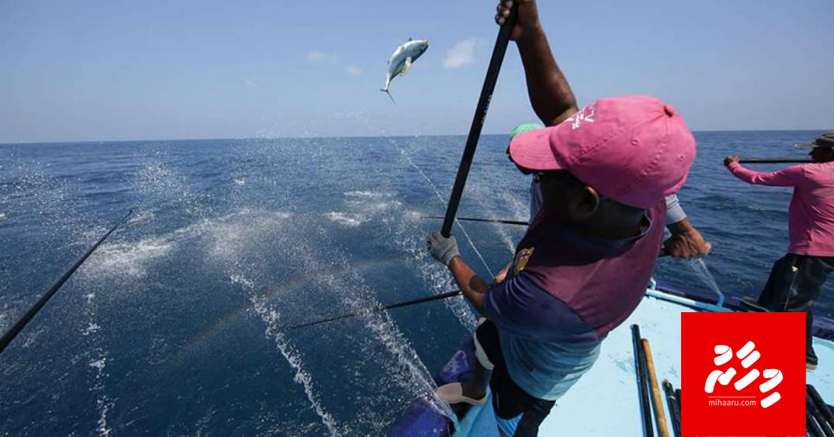 Leynu masverikamah huddha nudheyn Raees ninmaifi