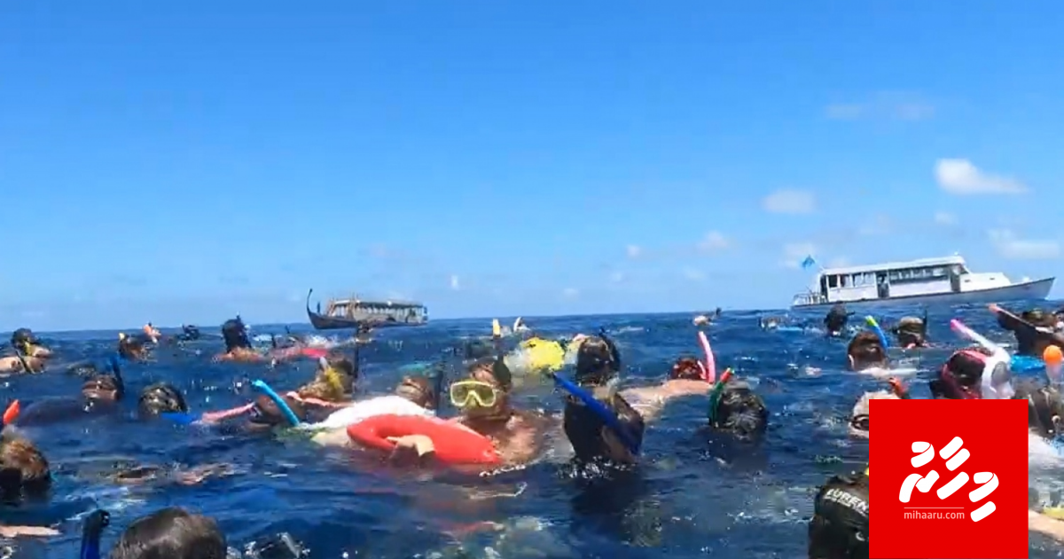 Fehurihi dhakkan Touristun thohjassanee!