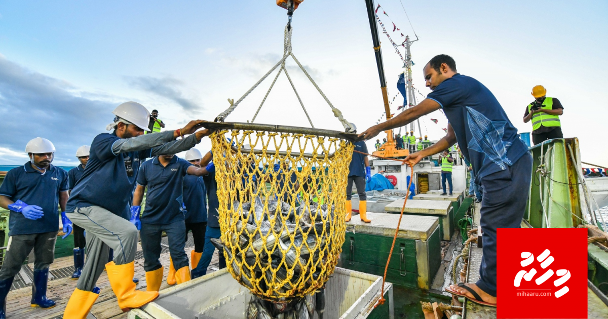 Mas kilo eh Rf25: Kihaa dhuvahakah hifahattaaleveyne?