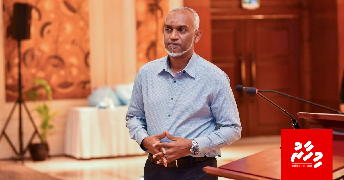 Raees ge musaara in 50 percent nunagan nimmavaifi