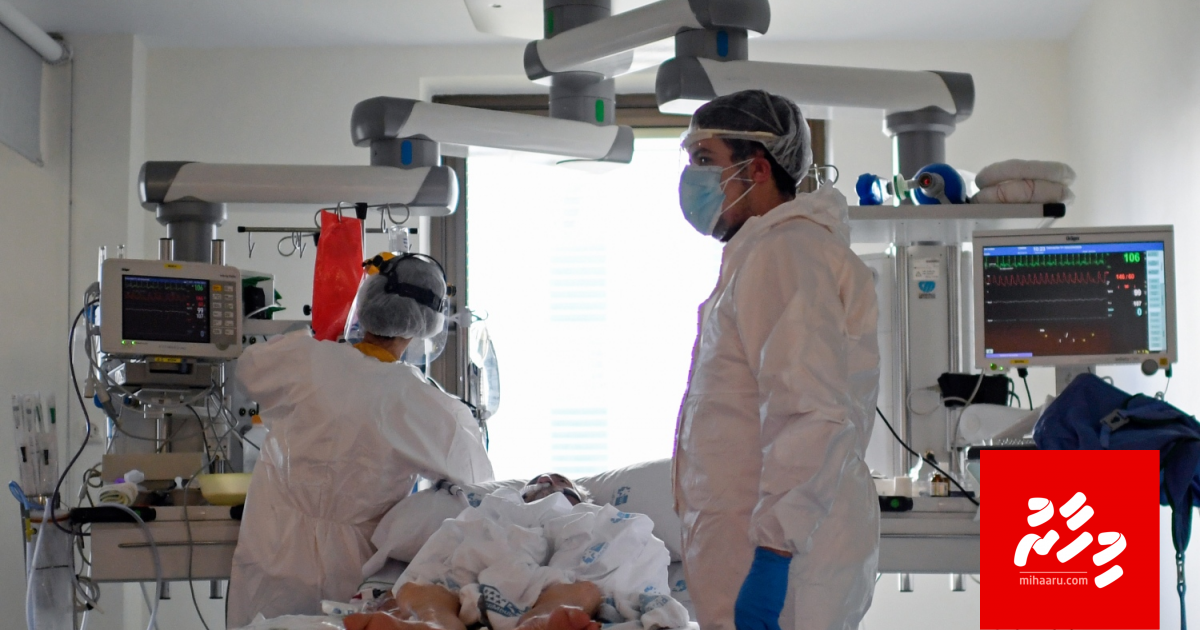 Maru matheegai bunaa bas varugadha hekkakah: Thaareekhee nimmumeh!