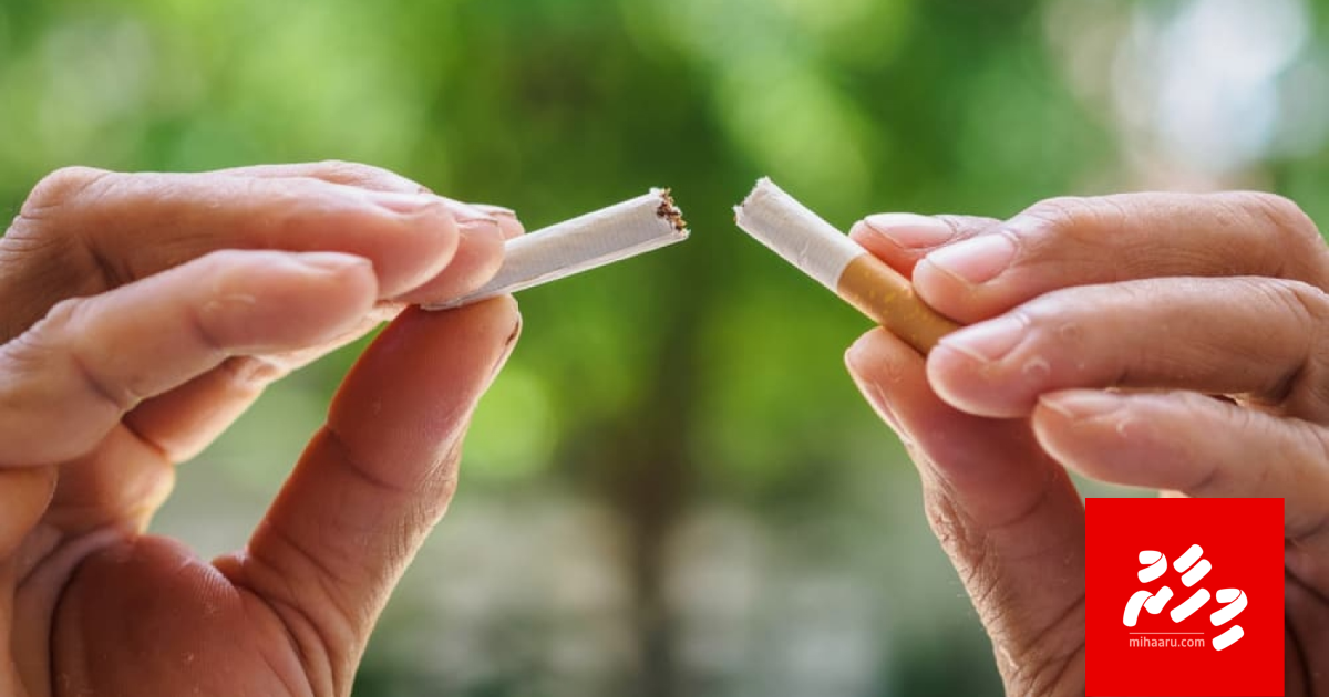 Vagah Raajje ethere kuri gina adhadheh ge cigarette carton thakeh athulaigenfi