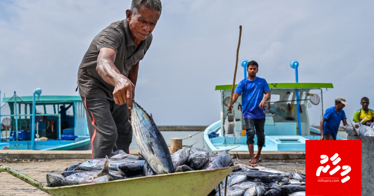 Masverin ge dhaftharu ekulavaalan ministry ge team thah rahrashah