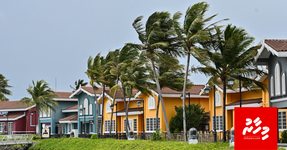 Moosun badhaluvaa dhuvas varaa dhimaakoh 2 kolhigandu ge asaru; Moosun goas vaane