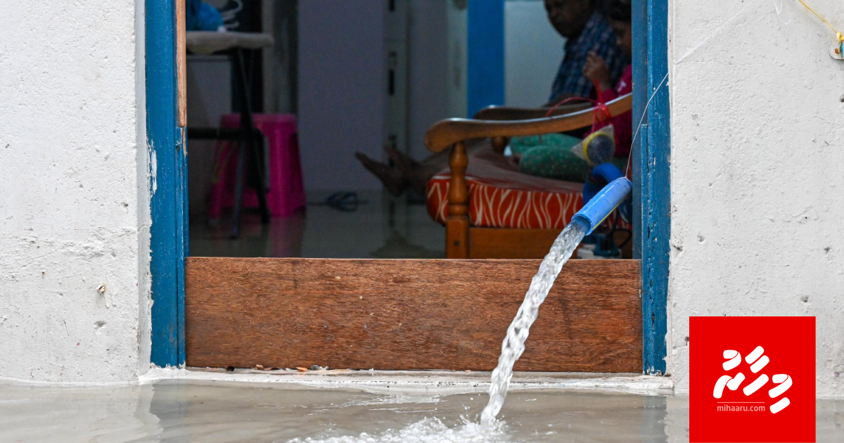 Male fenu adeegai: 24 gadi irun 136 mm ge vaarey